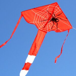 Windspeed Kites - Spider Delta Kite