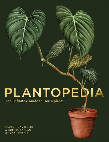 Plantopedia. The Definitive Guide of House Plants