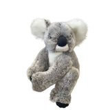 Dinki Di Melissa Koala 30cm