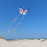 Djeco Butterfly Kite