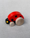 Bajo Ladybird Bug