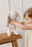 Snuggle Bunnies Fairy Penelope Pastel