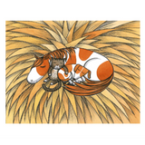 Noni the Pony Board Book by Alison Lester