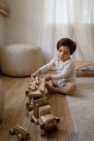 Q Toys Car Transport Truck