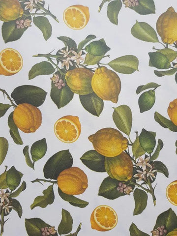 Rosse 1931 Flat Wrap Sheet Lemons Paper / Poster