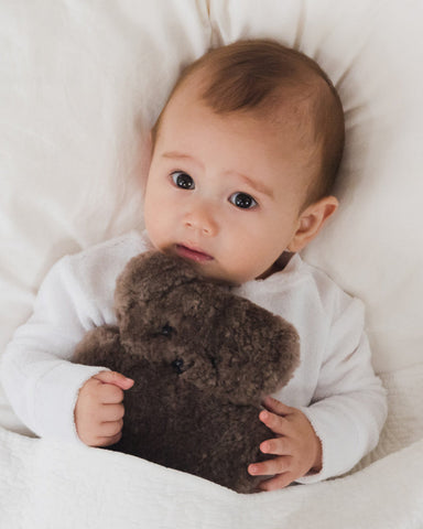 Flatout Bear - Chocolate Small