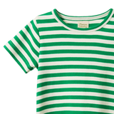 Nature Baby River Tee Kelly Green Sea Stripe