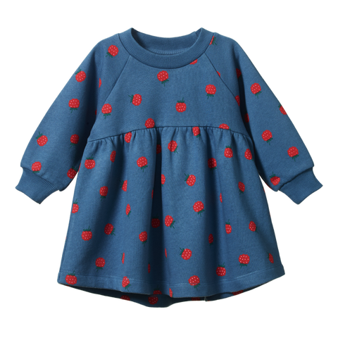 Nature Baby Ines Dress Blue Raspberry Print