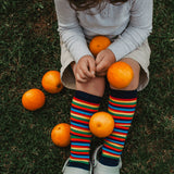 Lamington Child Merino Knee High Socks - Jester