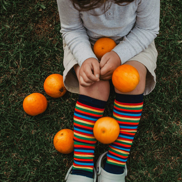 Lamington Child Merino Knee High Socks - Jester