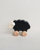 Bajo Black Sheep with White Face