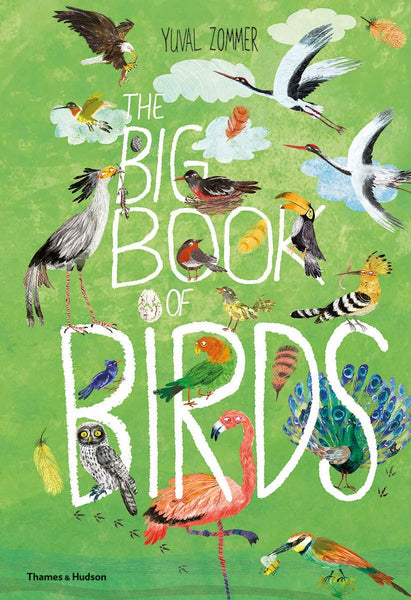 Big Book of Birds by Yuval Zommer