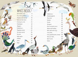 Big Book of Birds by Yuval Zommer