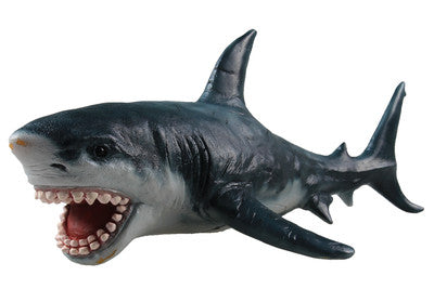 Recur Great White Shark