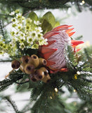 Flower King Protea