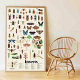 Poppik Discovery Stickers Insects