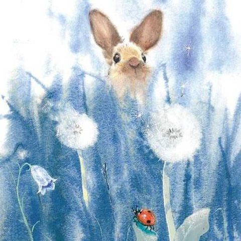 The Almanac Gallery Sweet Wishes Birthday Card