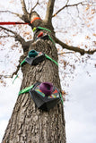 Slackers Tree Climbers