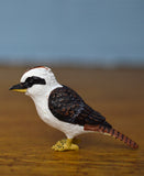 Science and Nature Kookaburra