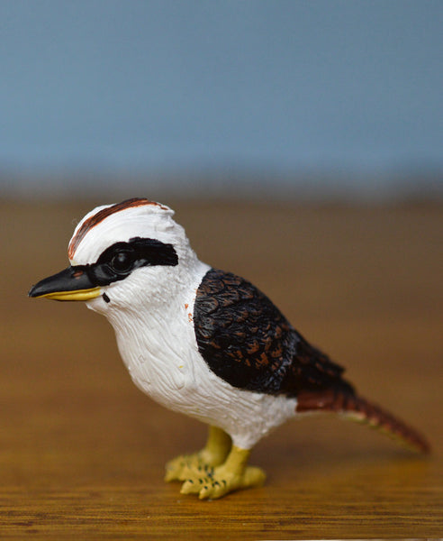 Science and Nature Kookaburra