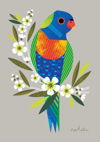 Natalie Marshall Rainbow Lorikeet Card