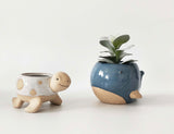 Urban Whale Planter Blue