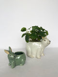 Urban Bunny Planter Light Blue Small