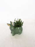 Urban Bunny Planter Light Blue Small